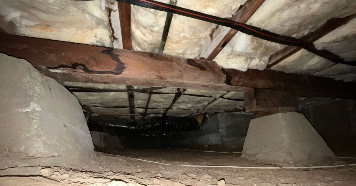 Crawl Space Los Angeles 2